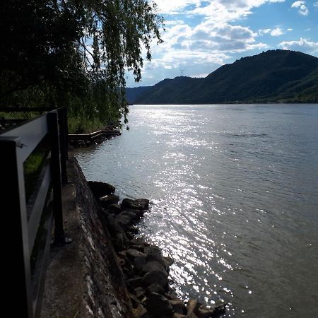 Dedin Raj Vila Golubac Exterior foto