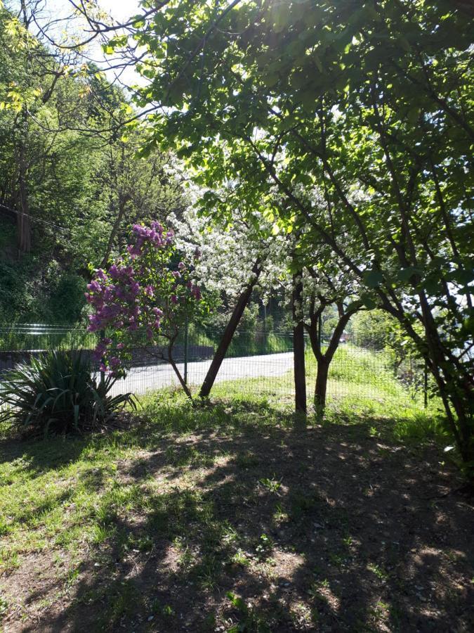 Dedin Raj Vila Golubac Exterior foto